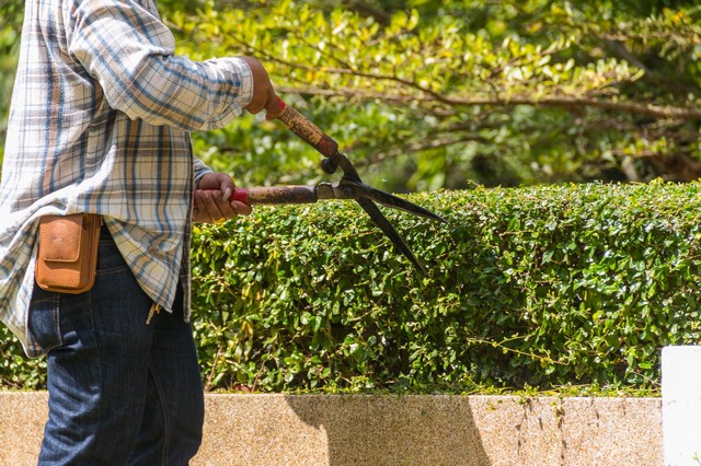 Garden Maintenance Mill Hill, NW7